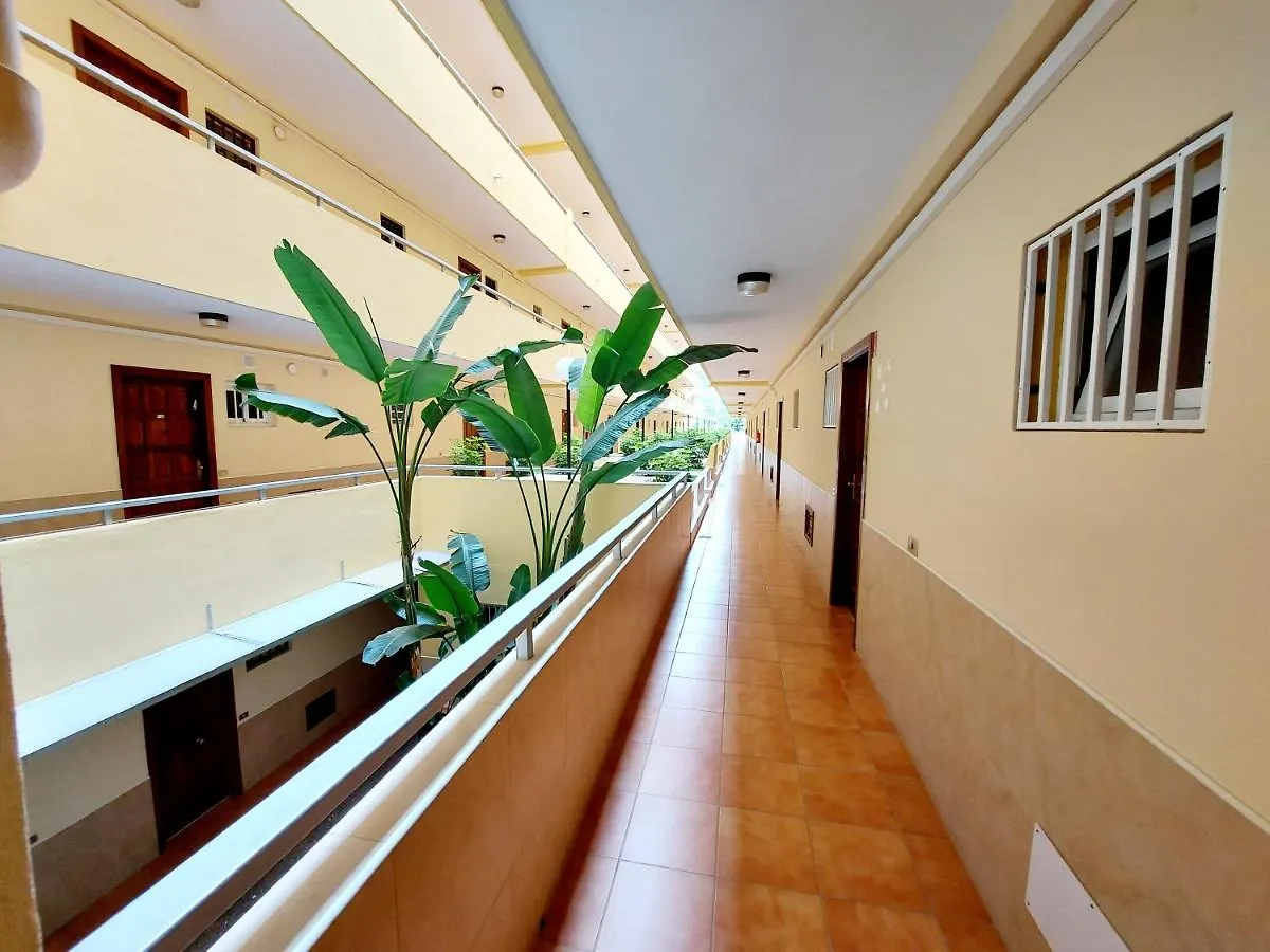 Sunny Cozy Nice Apartment Loscristianos Wifi,Pool Los Cristianos